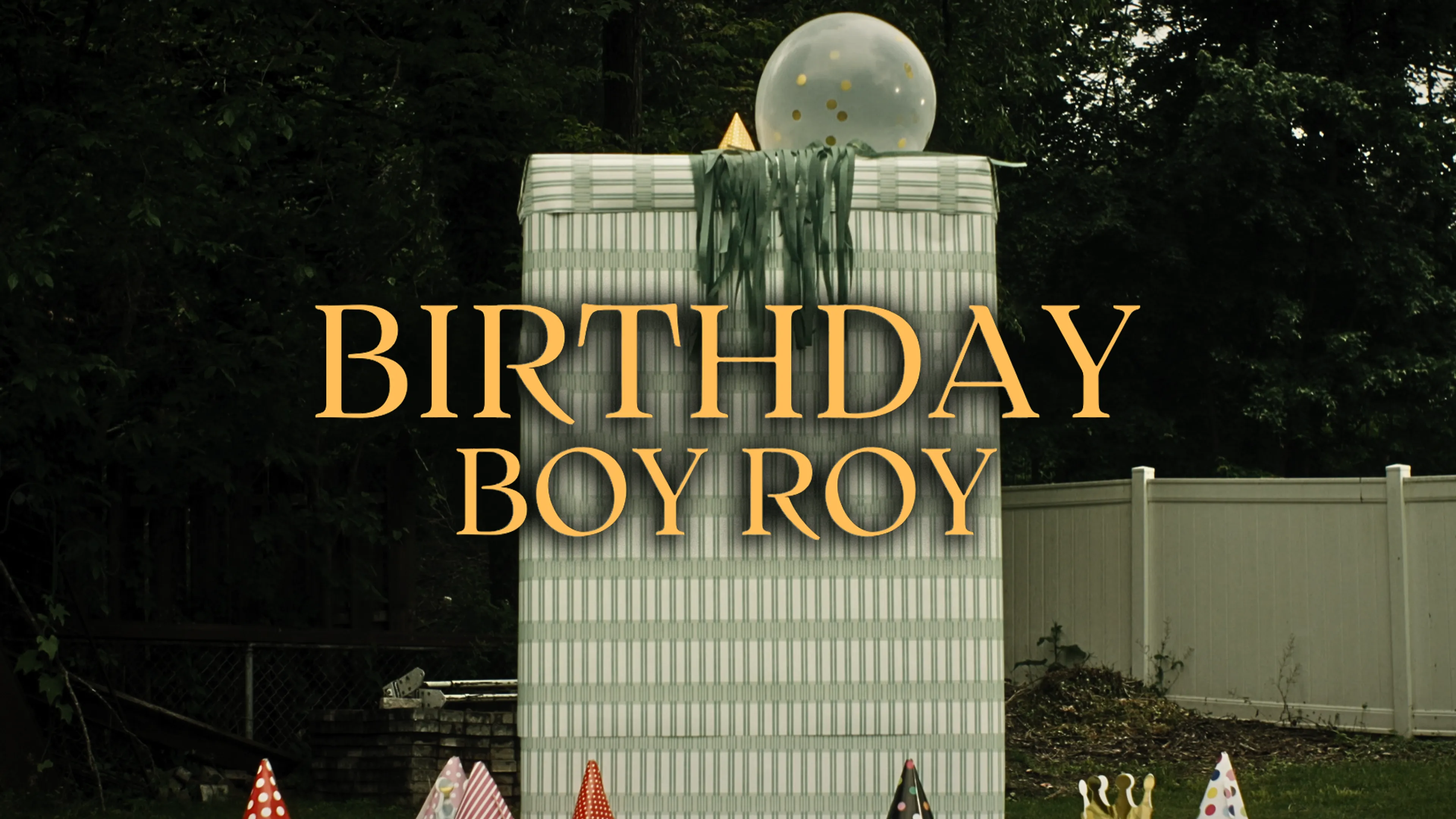 Birthday Boy Roy poster